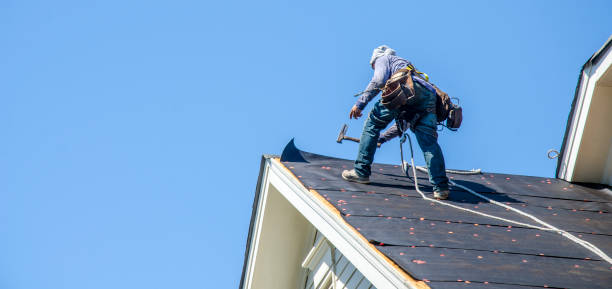 Best Roof Gutter Cleaning  in Nazareth, PA